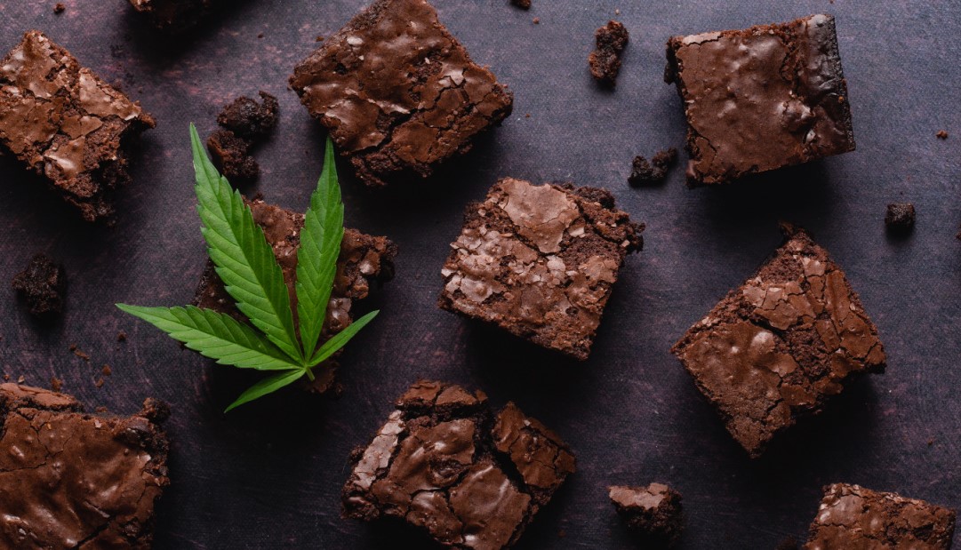 marijuana brownies 11 - How To Make Marijuana Brownies