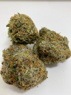 pink panther 1608405203870 4 247x329 - Black Gold - Indica