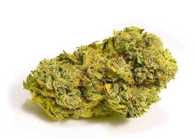 super lemon haze weed 4 - Super Lemon Haze Cannabis Strain Reviews