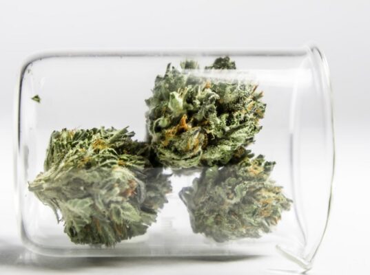 transparent cannabis 32 537x400 - Transparent Cannabis: Cannabis Potency Testing