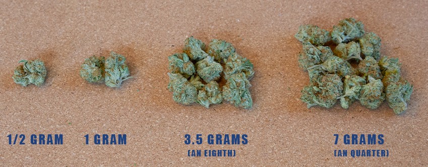 weed weights - Gram, Eighth, Quarter, Ounce: Understanding Weed Weights