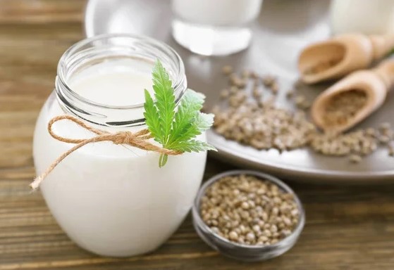 what is hemp milk nutrition benefits and how to make it 4 - What Is Hemp Milk: Nutrition, Benefits and How to Make It