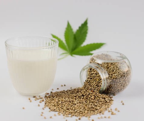 what is hemp milk nutrition benefits and how to make it 5 - What Is Hemp Milk: Nutrition, Benefits and How to Make It