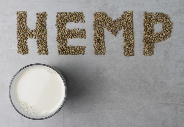 what is hemp milk nutrition benefits and how to make it 7 - What Is Hemp Milk: Nutrition, Benefits and How to Make It