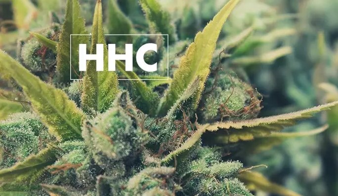 what is hexahydrocannabinol hhc 15 - Hexahydrocannabinol (HHC): Benefits, Safety and Legality