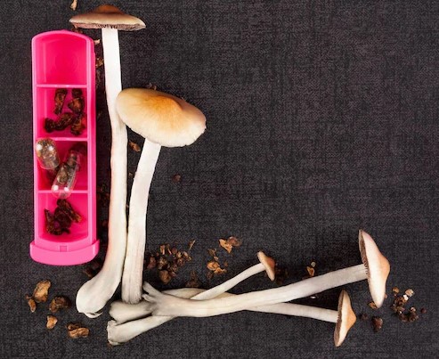 what is microdosing mushrooms 4 - What Is Microdosing Mushrooms