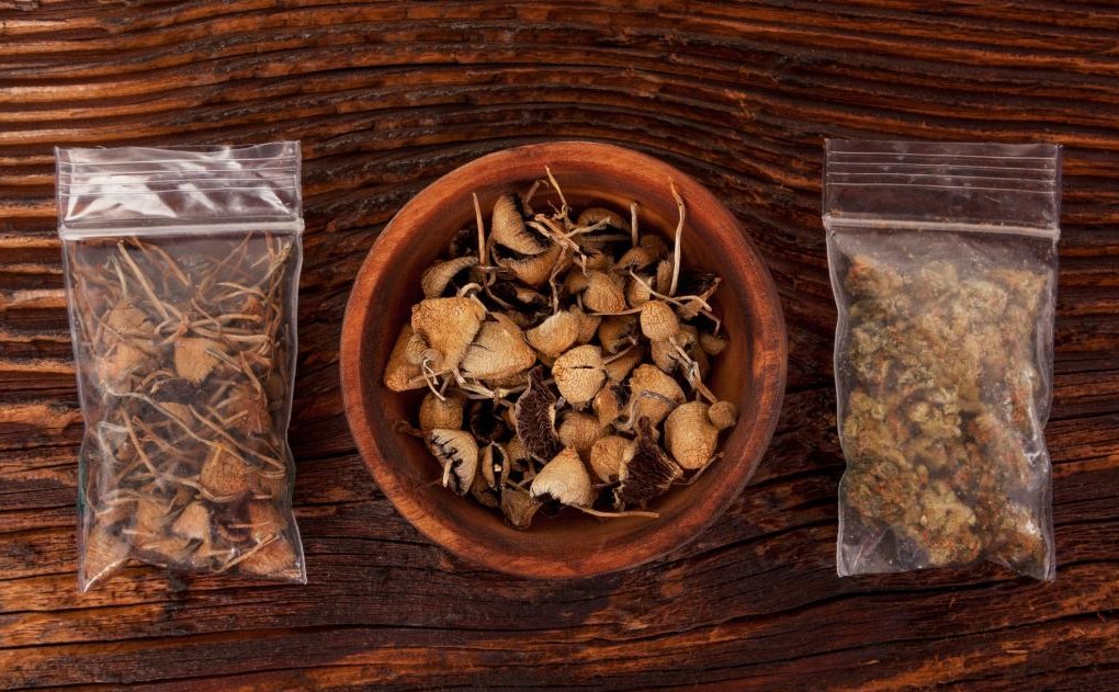 what is microdosing mushrooms - What Is Microdosing Mushrooms
